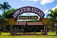 Appleton