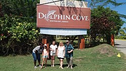 At dolphin cove