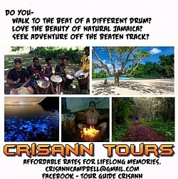 Crisann tours